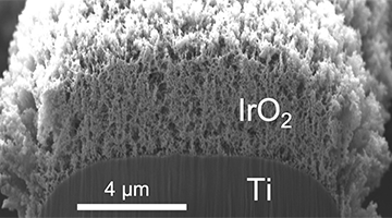 Membrane close-up